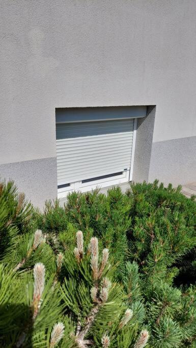 City Lodge Pine, Free Parking Lublana Zewnętrze zdjęcie